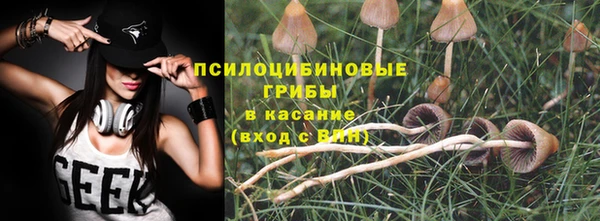 MDMA Россошь