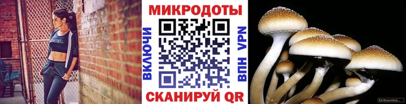 Псилоцибиновые грибы мицелий  Спас-Клепики 